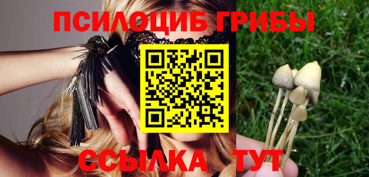 Псилоцибиновые грибы ЛСД  Вход с VPN  цены   Людиново 